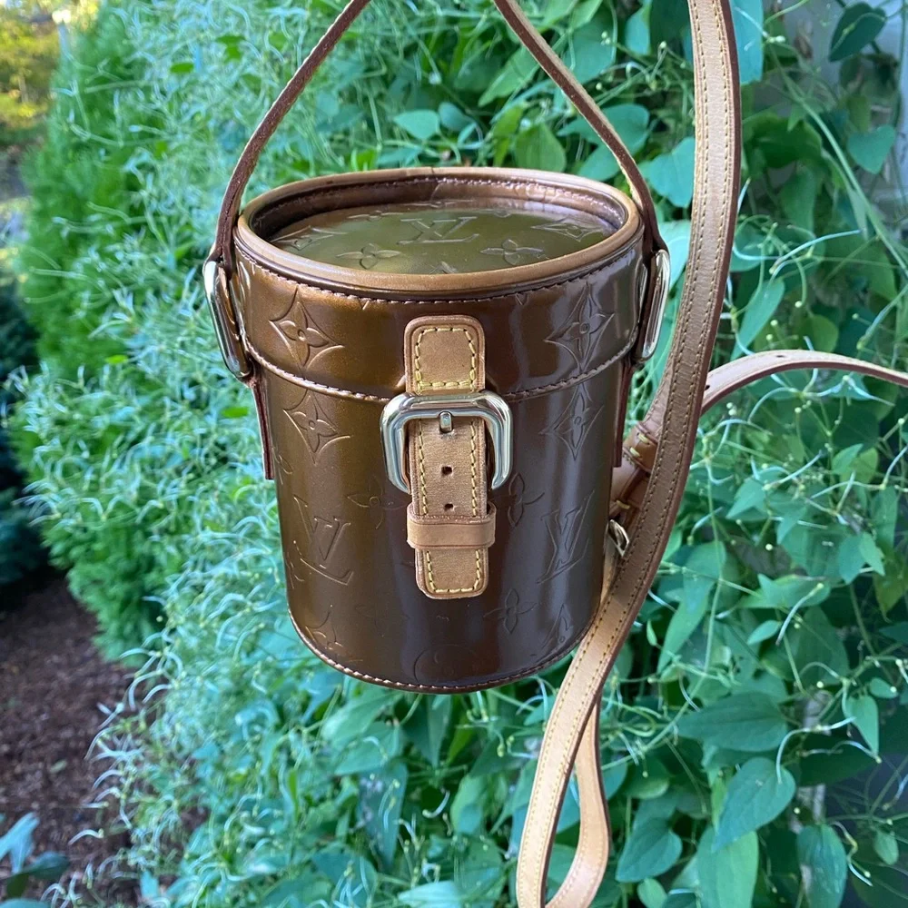 Louis Vuitton RARE vanity Brown Crossbody Bag LIKE NEW